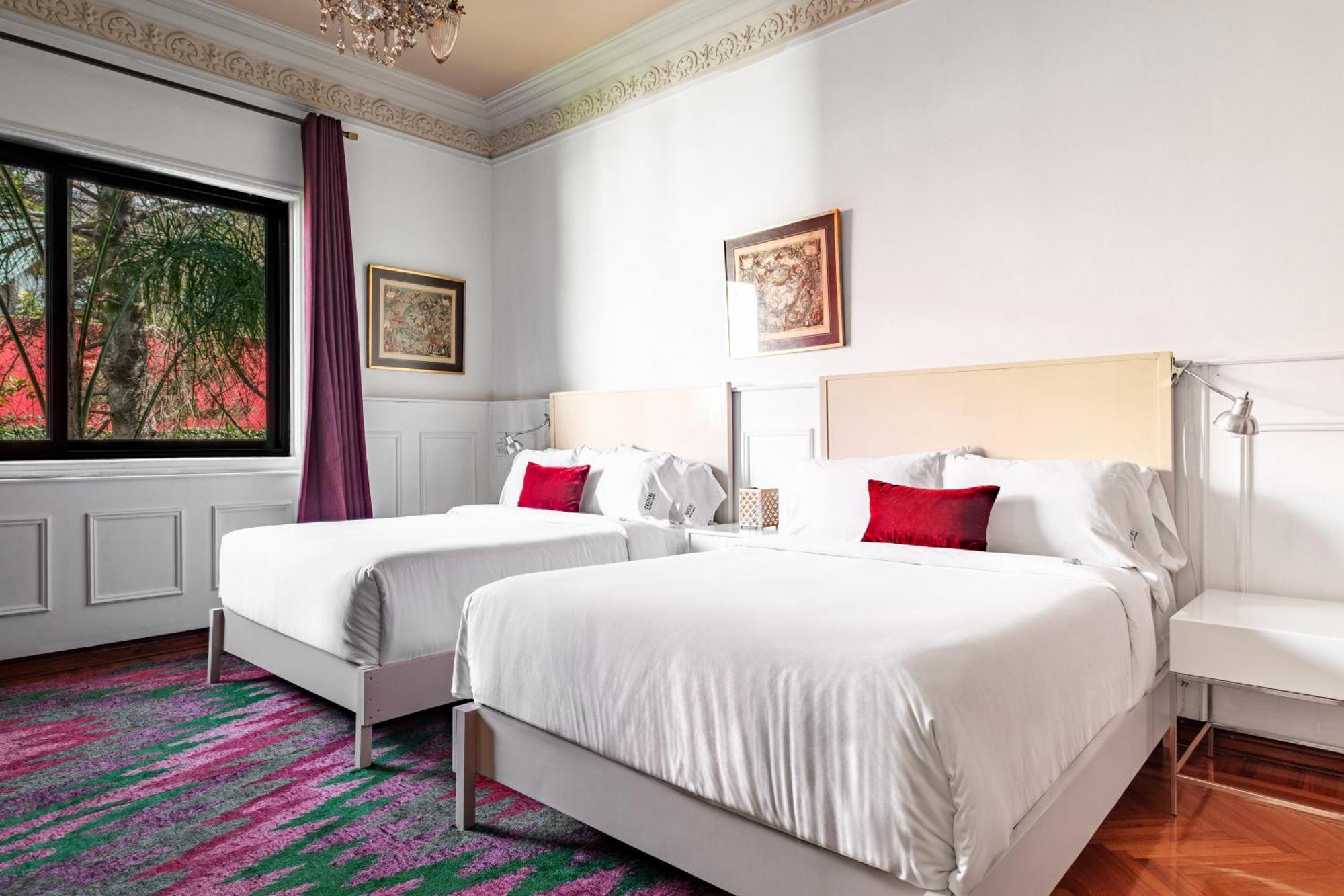 Hotel Pug Seal Polanco Anatole France Ciudad de México Pokoj fotografie